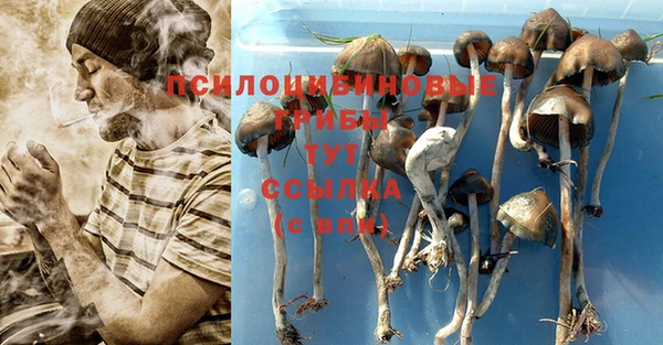 мет Пролетарск