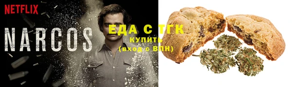 дмт Пересвет