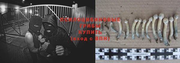 Альфа ПВП Покров