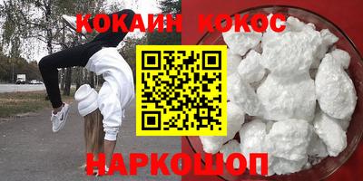 стаф Кингисепп