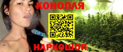 стаф Кингисепп
