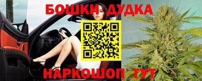 стаф Кингисепп