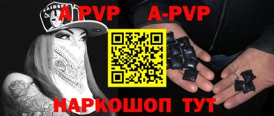 стаф Кингисепп