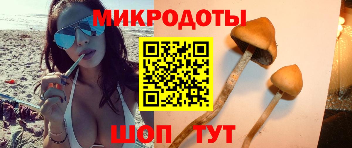 Галлюциногенные грибы Magic Shrooms  Псилоцибиновые грибы мицелий  Вход с VPN  Ревда 